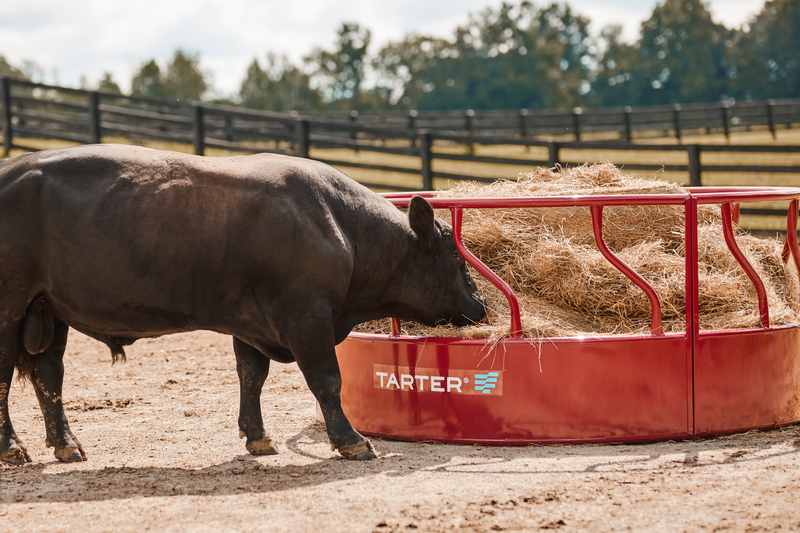 Titan Bull Hay Feeder