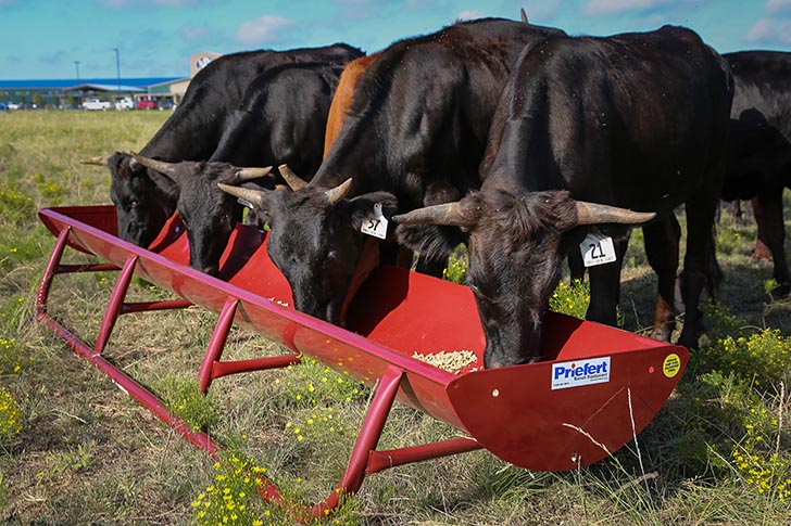 10' Bunk Feeder w/Powder Coated Metal Liner