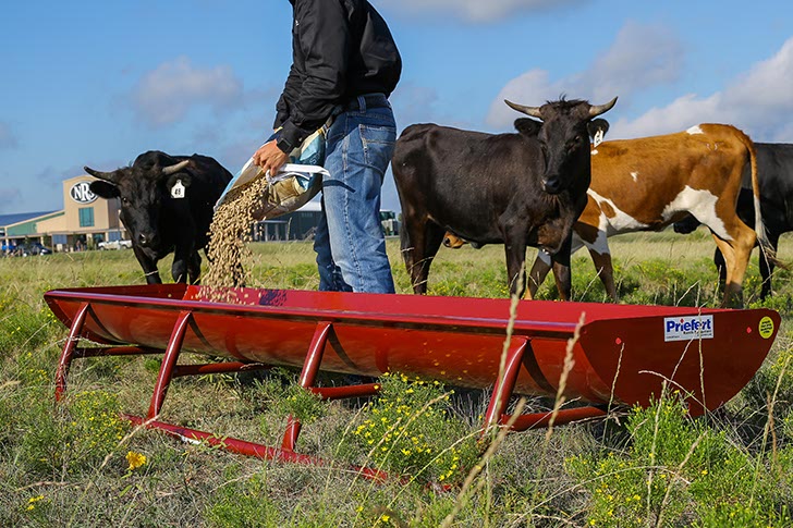 10' Bunk Feeder w/Powder Coated Metal Liner