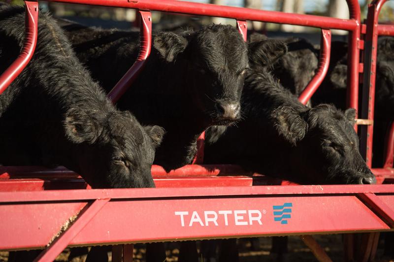Fence Line Feeder Panel