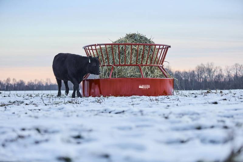 Bextra Heavy Feeders