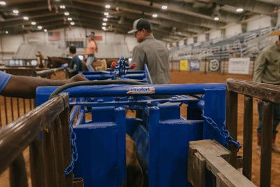 Manual Calf Roping Chute