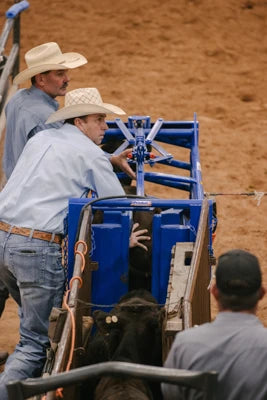 Manual Calf Roping Chute
