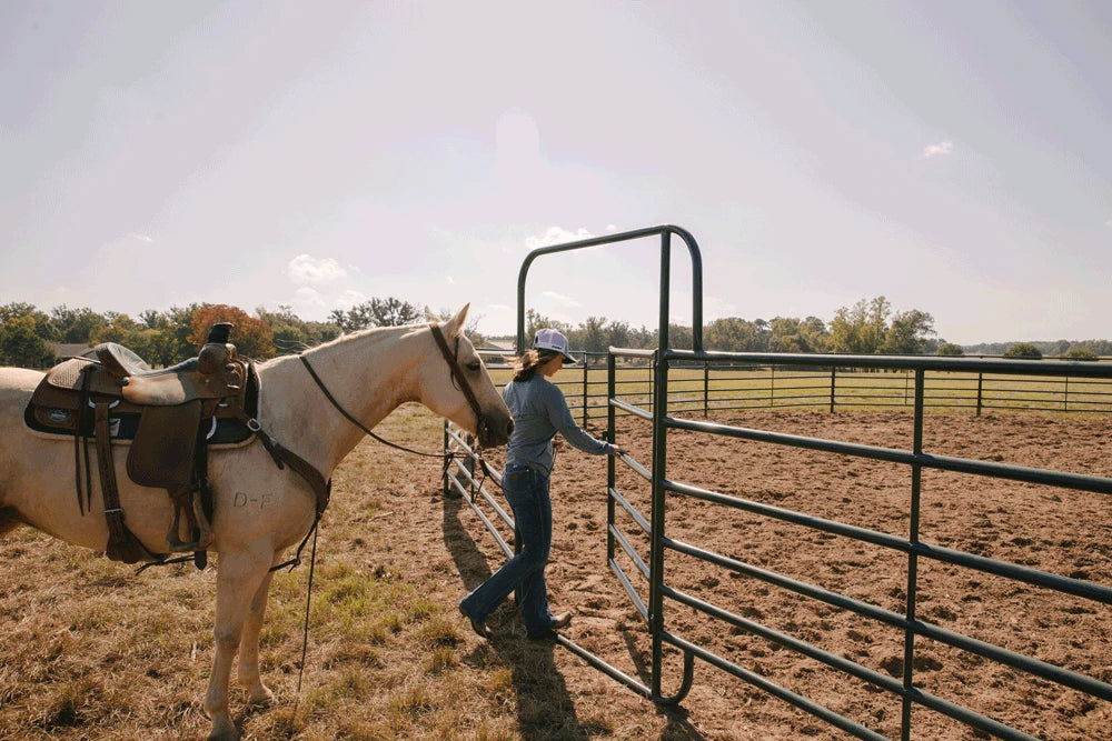 6' Tall Premier Walk Thru Panels