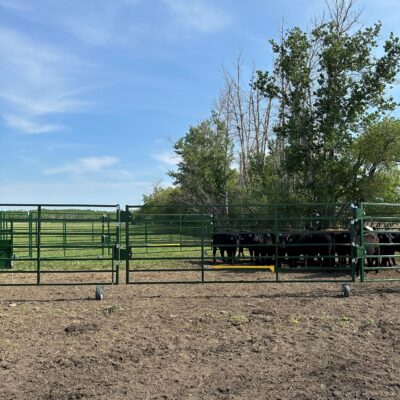 The Heeler 87C Portable Corral