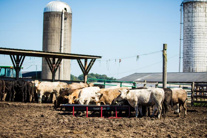 Titan Poly Bunk Feeders