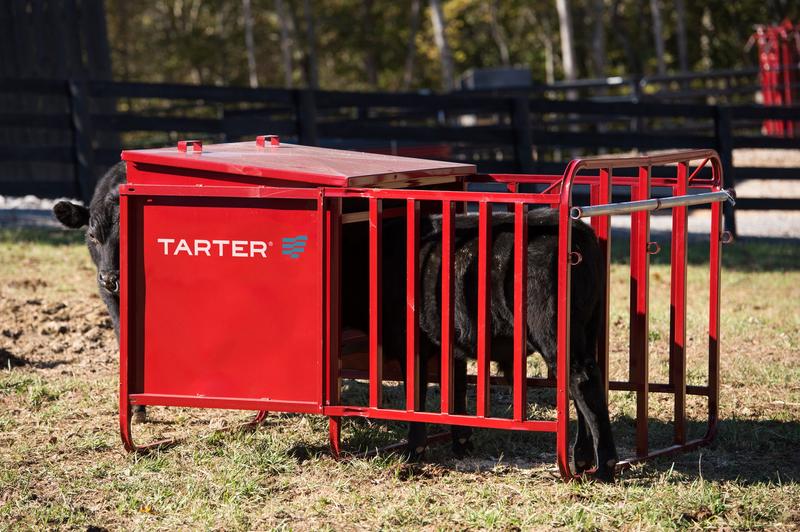 Calf Creep Feeder 650