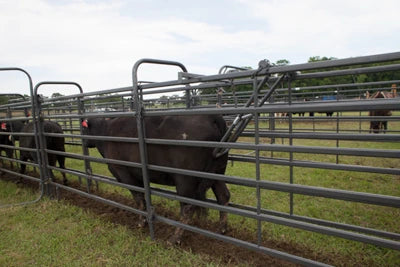 Universal Alley Stop
