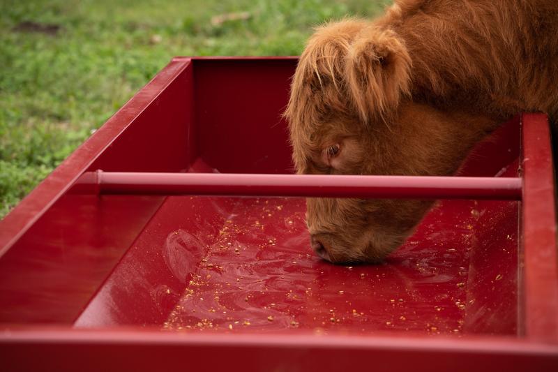 Titan Grain & Silage Feeder