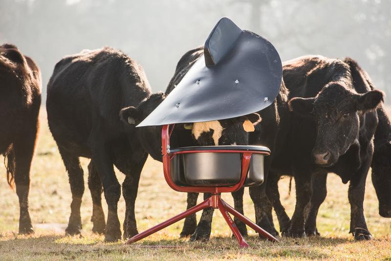 Elevated Broad Poly Vane Mineral Feeder
