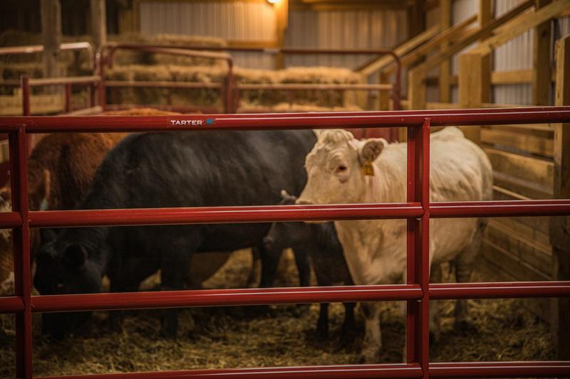 Bullmax HD Round Corner Gate