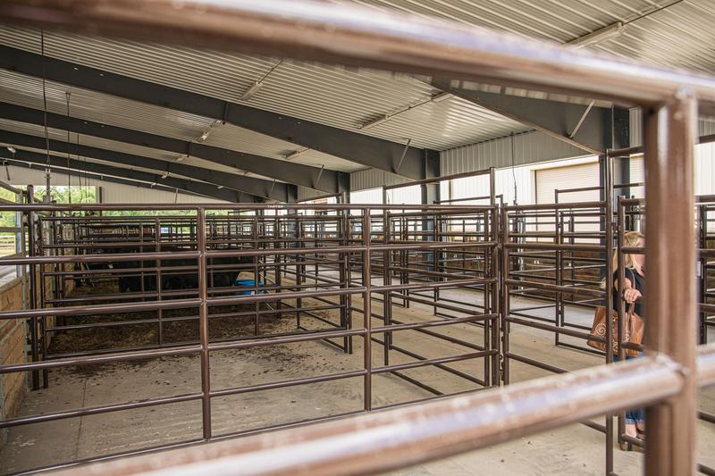 Rough Stock Arena Panel