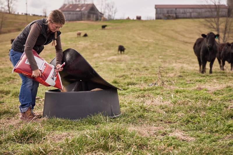 GROUND LEVEL 250 MINERAL FEEDER