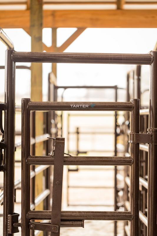 Rough Stock Walk-Thru