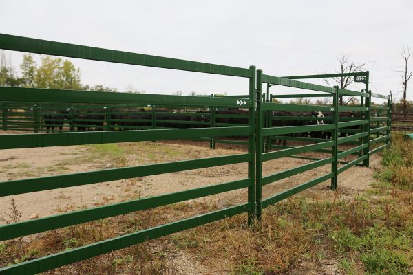 Cattle Corral Panels