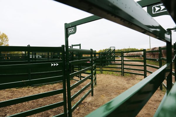 Cattle Corral Panels