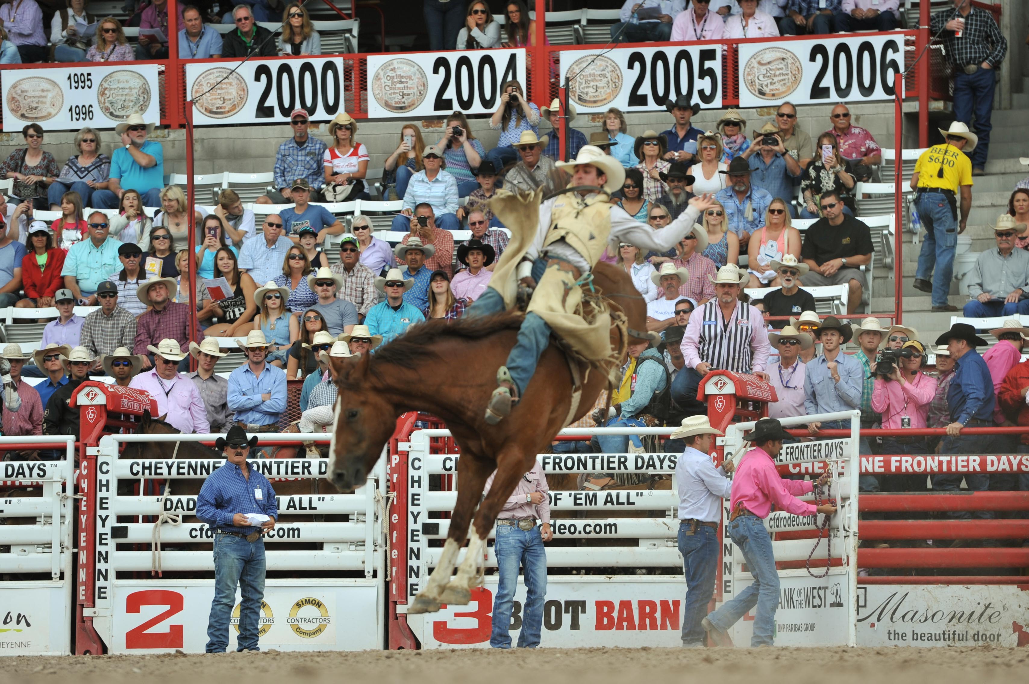 Bucking Chute Sets