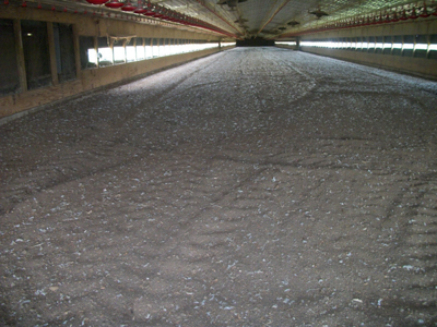 Chain Harrow w/Lift Kit