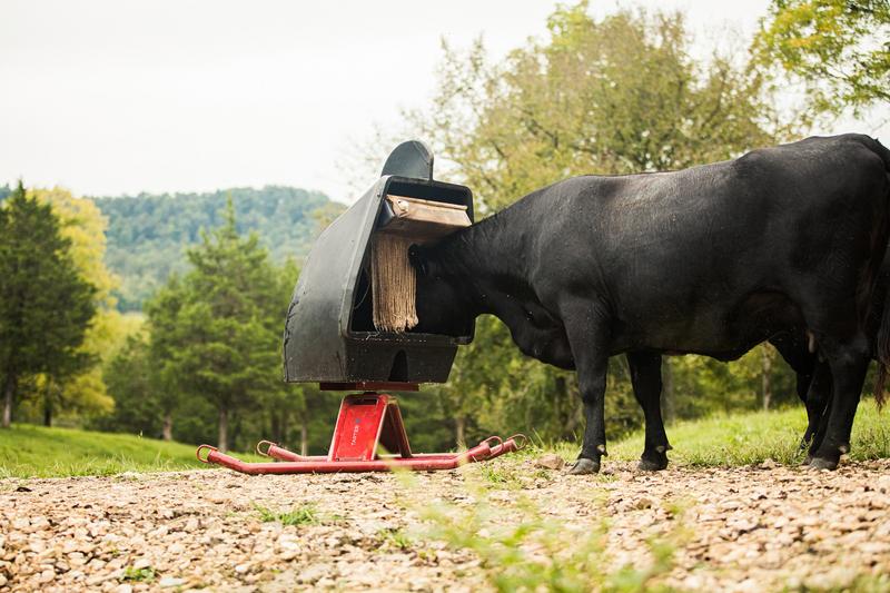 Super-Duty Mineral Feeder