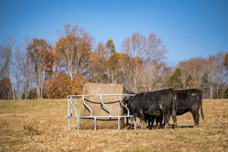 Titan Galvanized Cattle Feeder