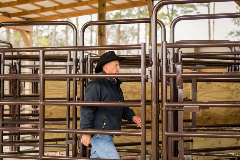 Rough Stock Arena Panel