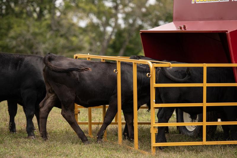 Feedmaster 165 Portable Creep Feeder