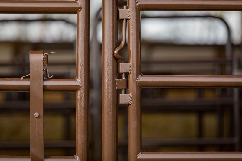 Rough Stock Arena Panel