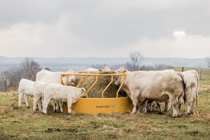 Titan Tall Bull Feeder