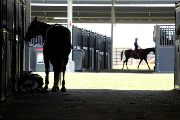10' Expo Stall Front - Vertical Bar Top