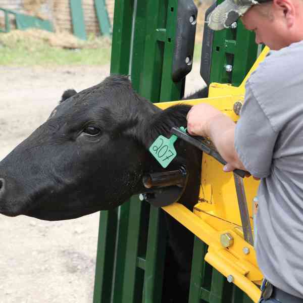 Cattle Handling Accessories