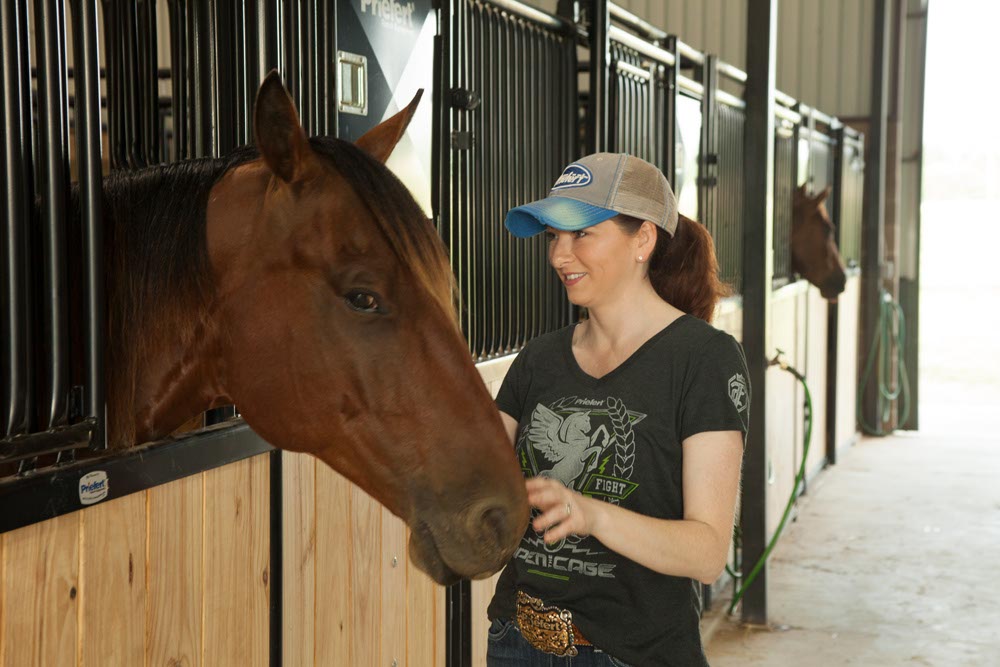 Premier Stall Fronts Bar/Wood