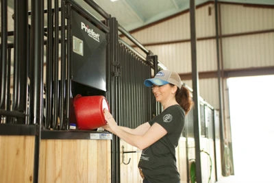 Premier Horse Stall Feeder