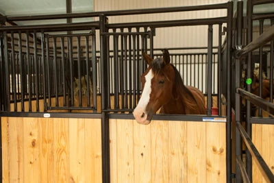 Premier Horse Stall Window