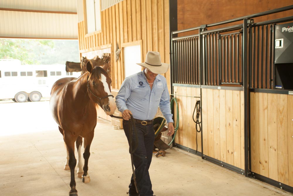 Premier Stall Fronts Bar/Wood