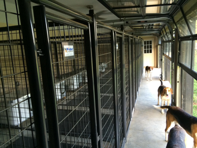 6' Tall Premier Kennel Kits