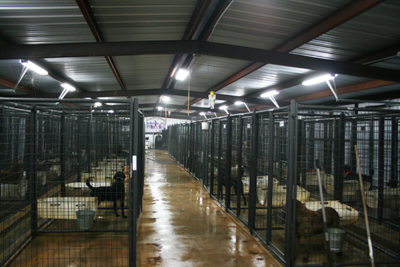 6' Tall Premier Kennel Kits