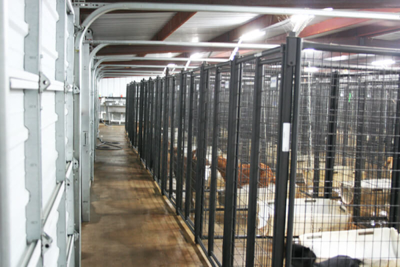 6' Tall Premier Kennel Kits