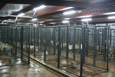 6' Tall Premier Kennel Kits
