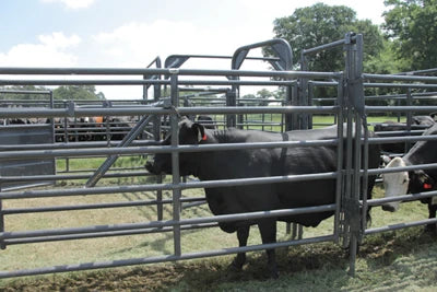 Universal Alley Stop