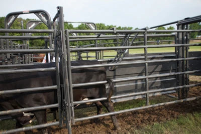 Universal Alley Stop