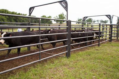 Rough Stock Post Connectors