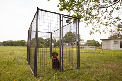 6' Tall Premier Kennel Kits