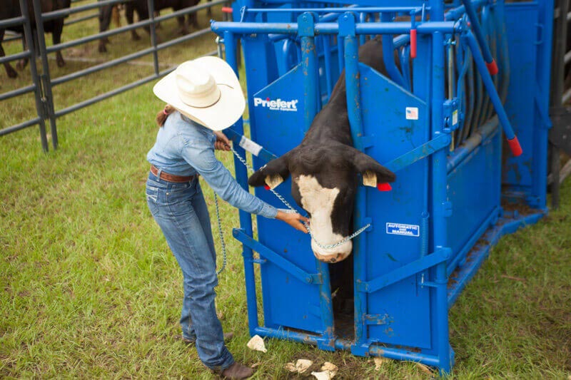 Squeeze Chutes - Model S04 – Graham's Hay Sales