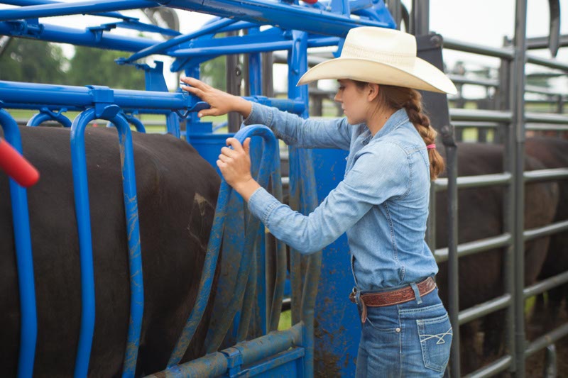 Squeeze Chutes - Model S04