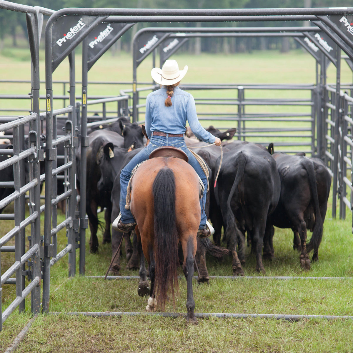 Rough Stock Bow Frames – Graham's Hay Sales