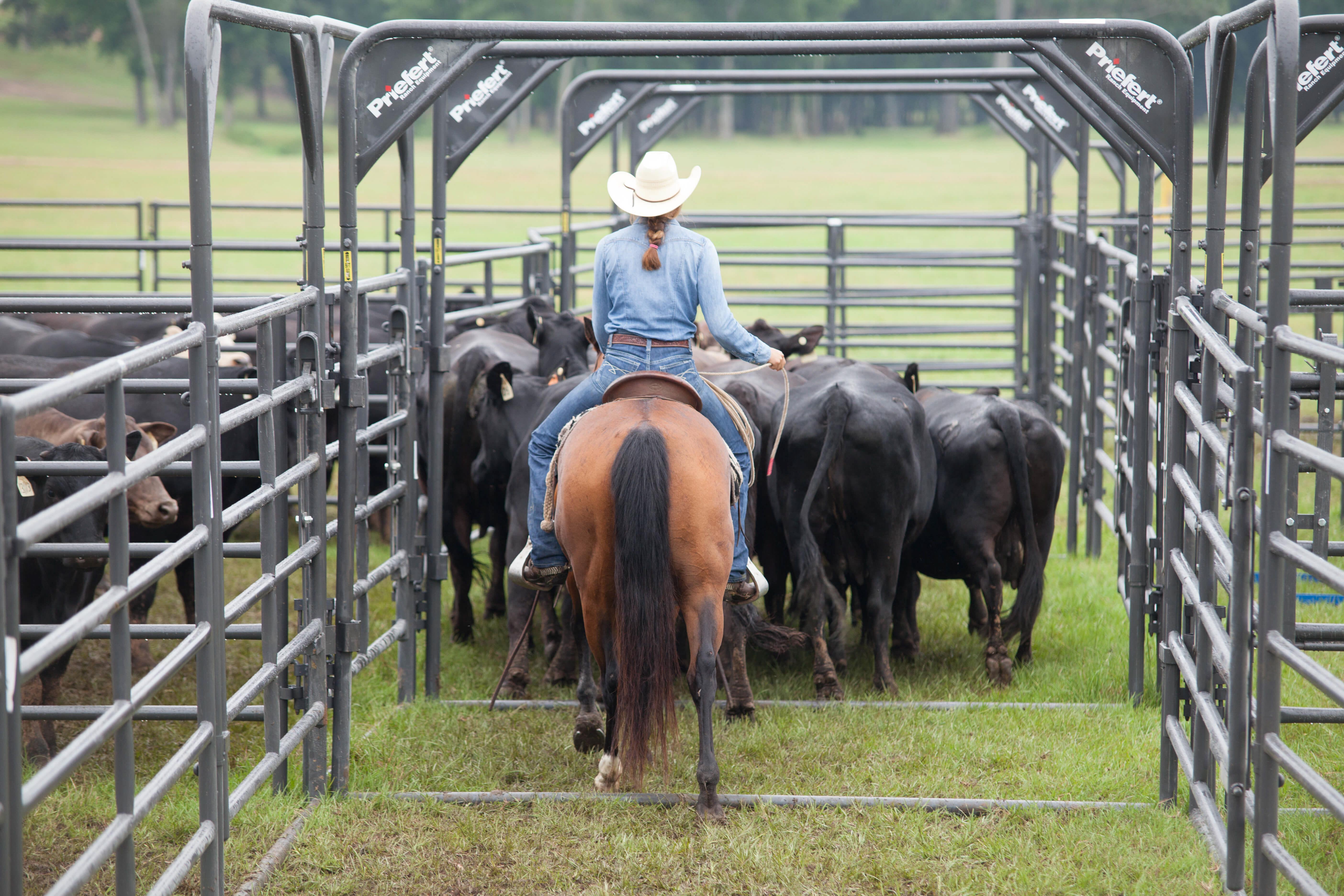 Rough Stock Arena Bow Frames