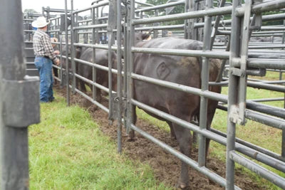 Rough Stock Post Connectors