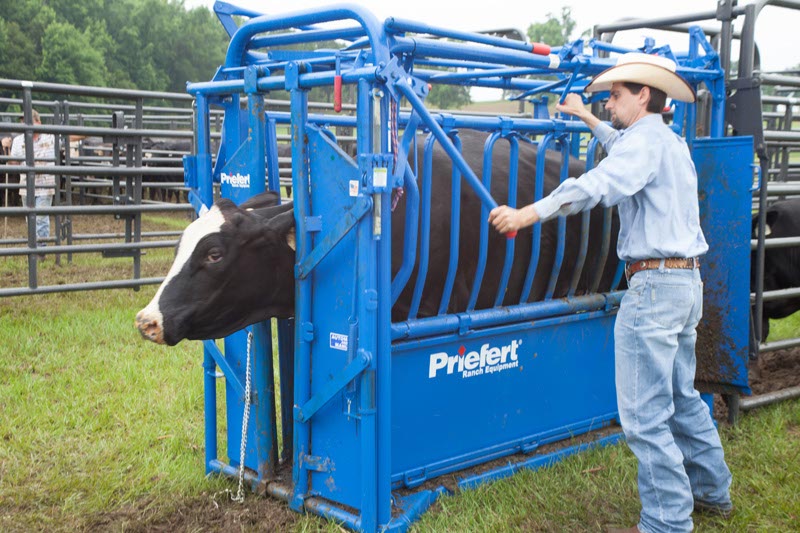 Squeeze Chutes - Model S04