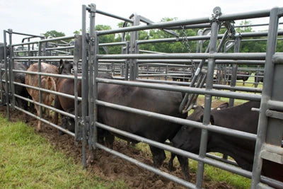 Universal Alley Stop