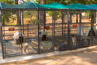 Kennel Shades and Support Bows